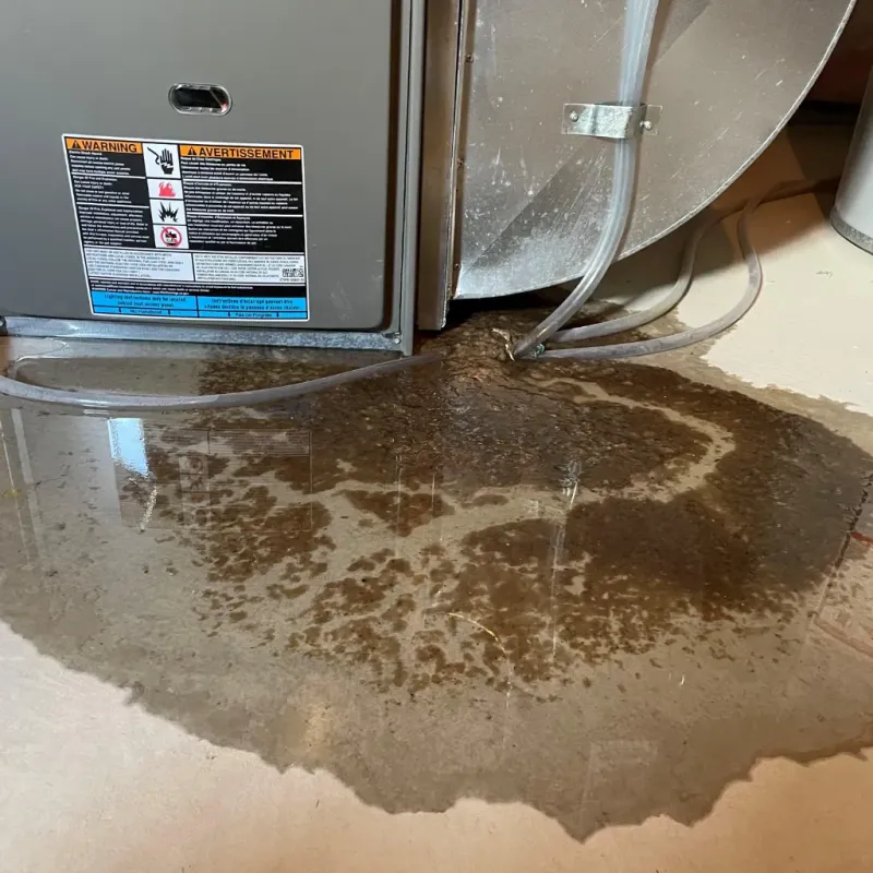 Appliance Leak Cleanup in Saint John, MO